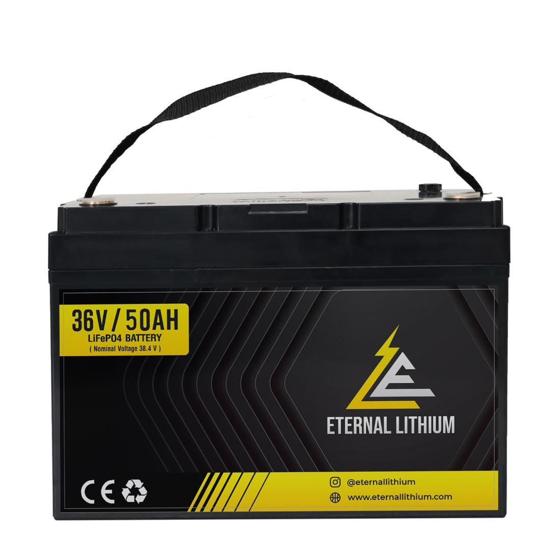 Eternal Lithium 36V 100Ah B2C Package - 2 x 36V 50Ah & WP Charger
