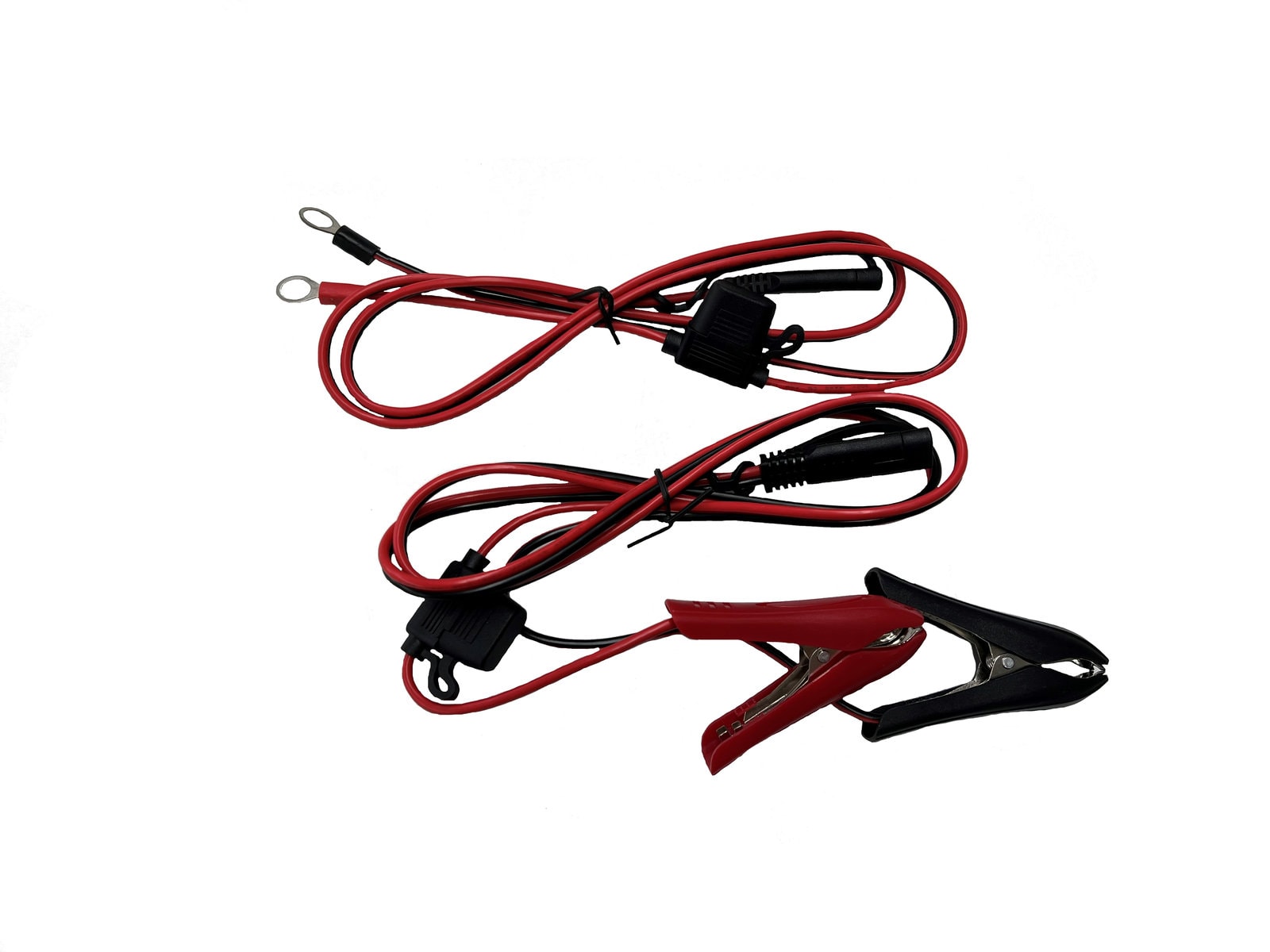 Ionic Lithium 12V 4A Lithium Battery Charger