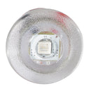 Lumitec Newt - Livewell & Courtesy Light - White Dimming [101084] - Mealey Marine