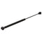 Sea-Dog Gas Filled Lift Spring - 10" - 20# [321422-1] - Mealey Marine