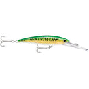 Rapala X-Rap Magnum 15 Gold Green Mackerel [XRMAG15GGM] - Mealey Marine